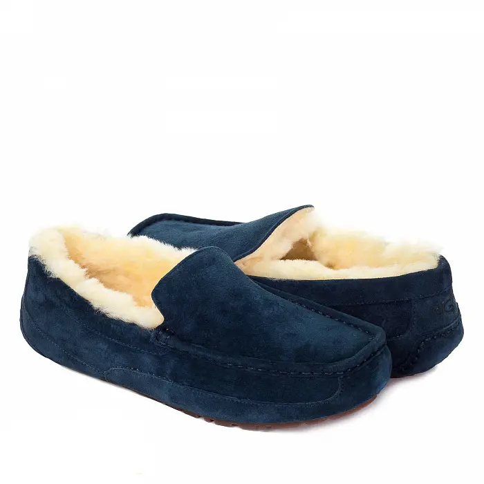 Ascot — Navy