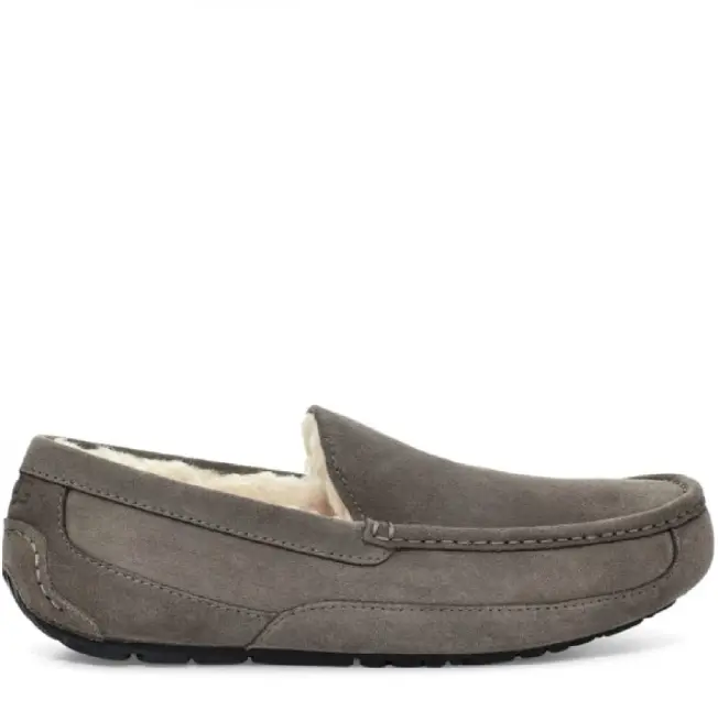 Ascot Grey — Grey