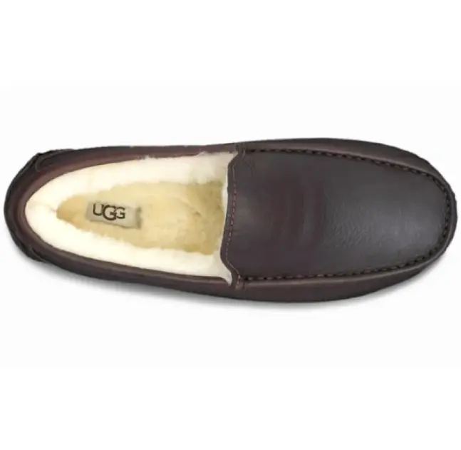 Ascot — Brown