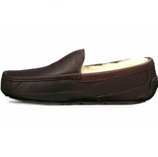Ascot — Brown
