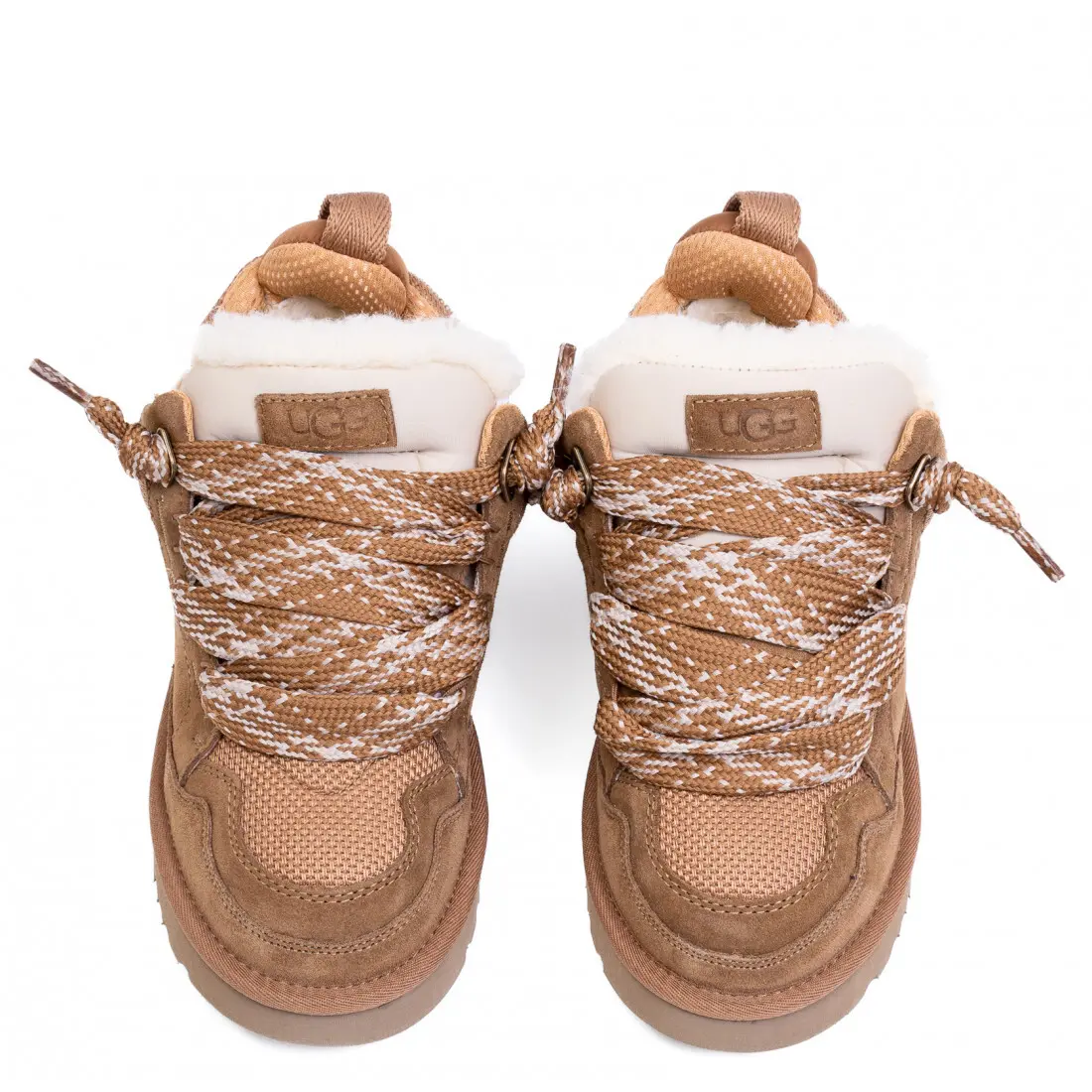 Lowmel Trainer — Lowmel Trainer — Chestnut