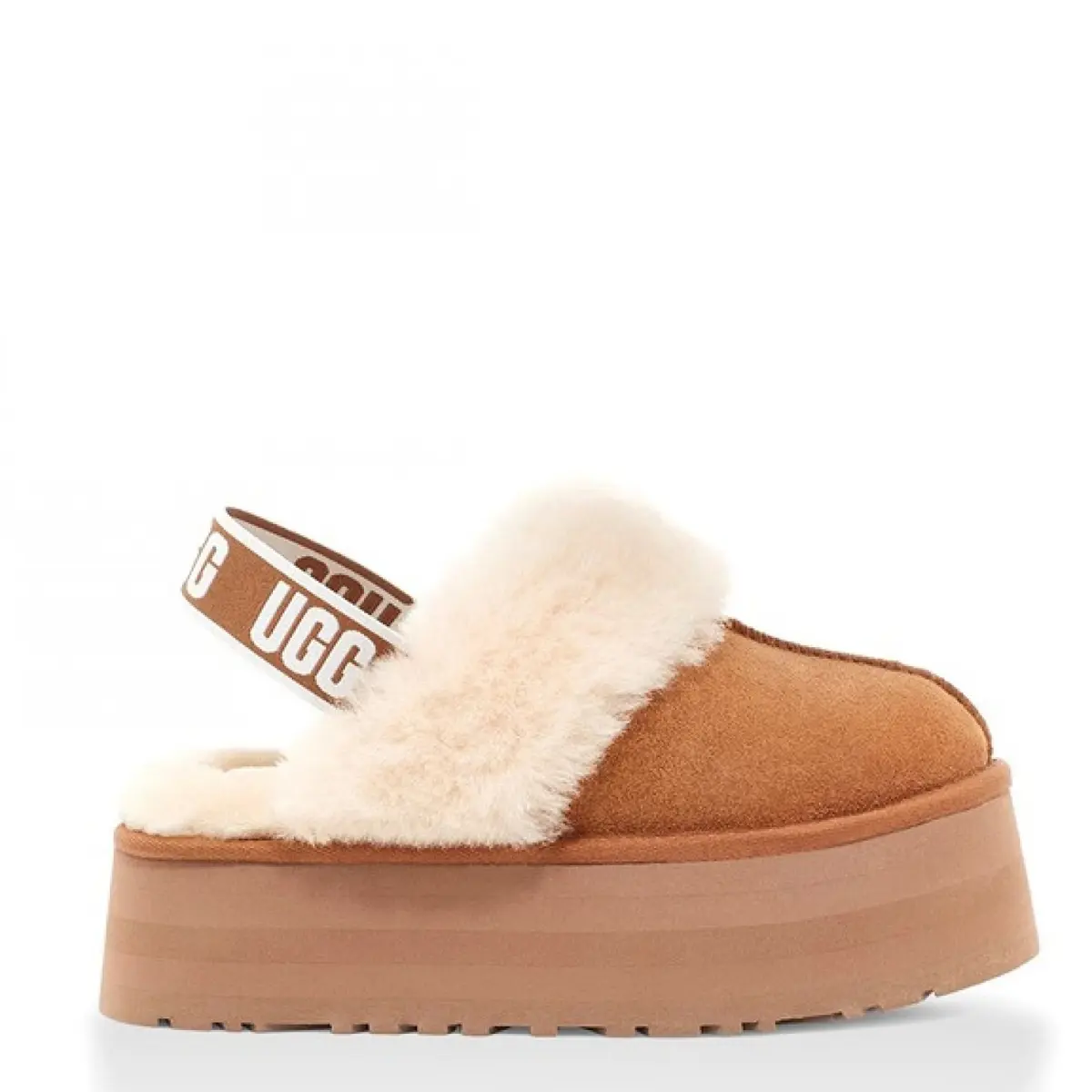 Chestnut