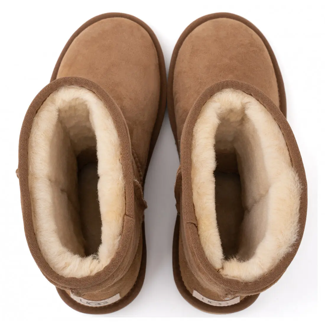 Classic Short II — Chestnut