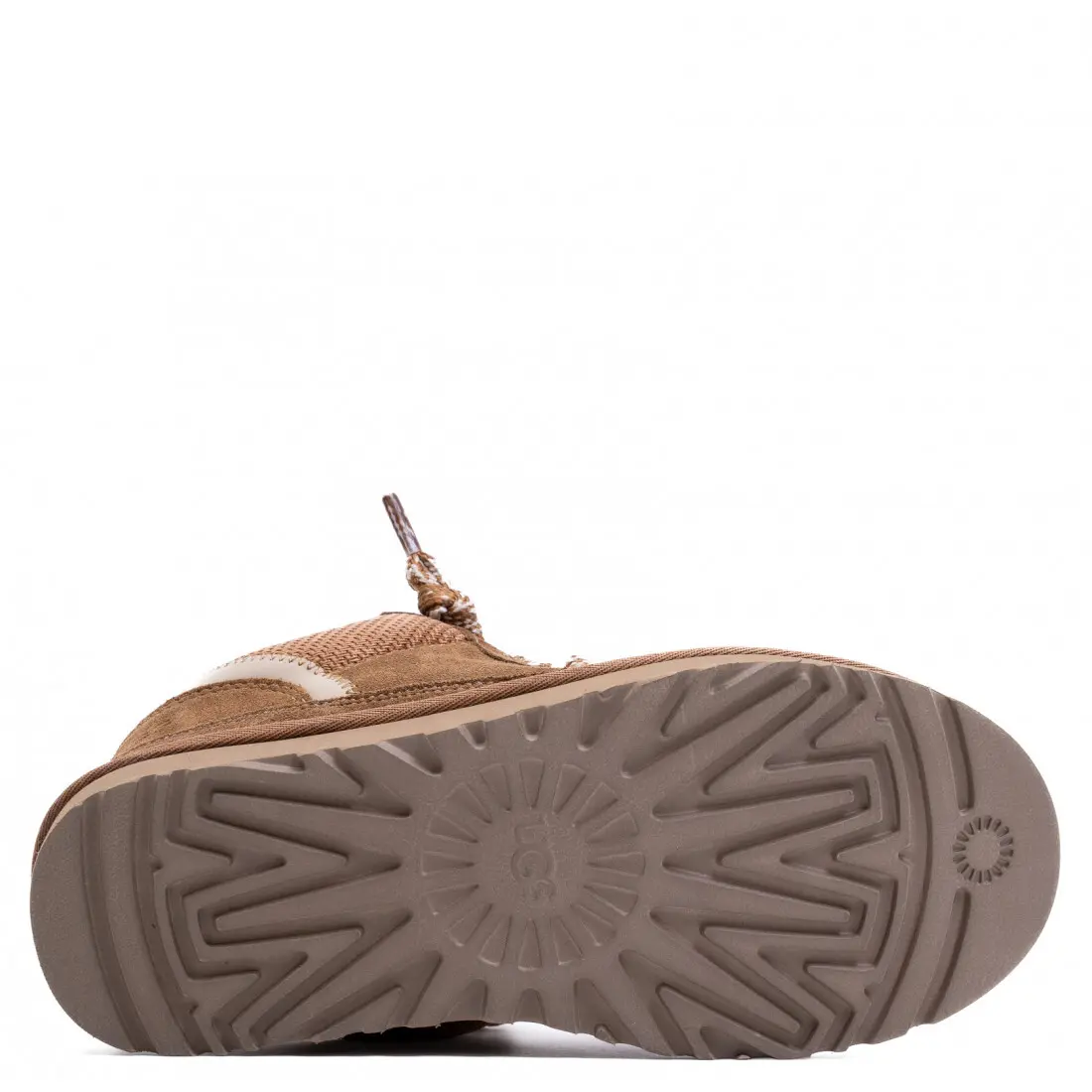 Lowmel Trainer — Lowmel Trainer — Chestnut