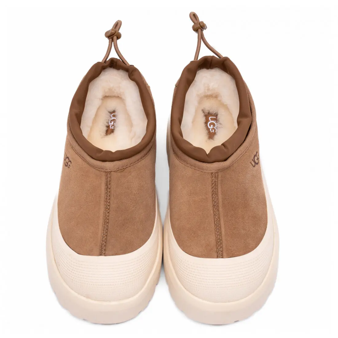 Tasman Weather Hybrid — — Chestnut