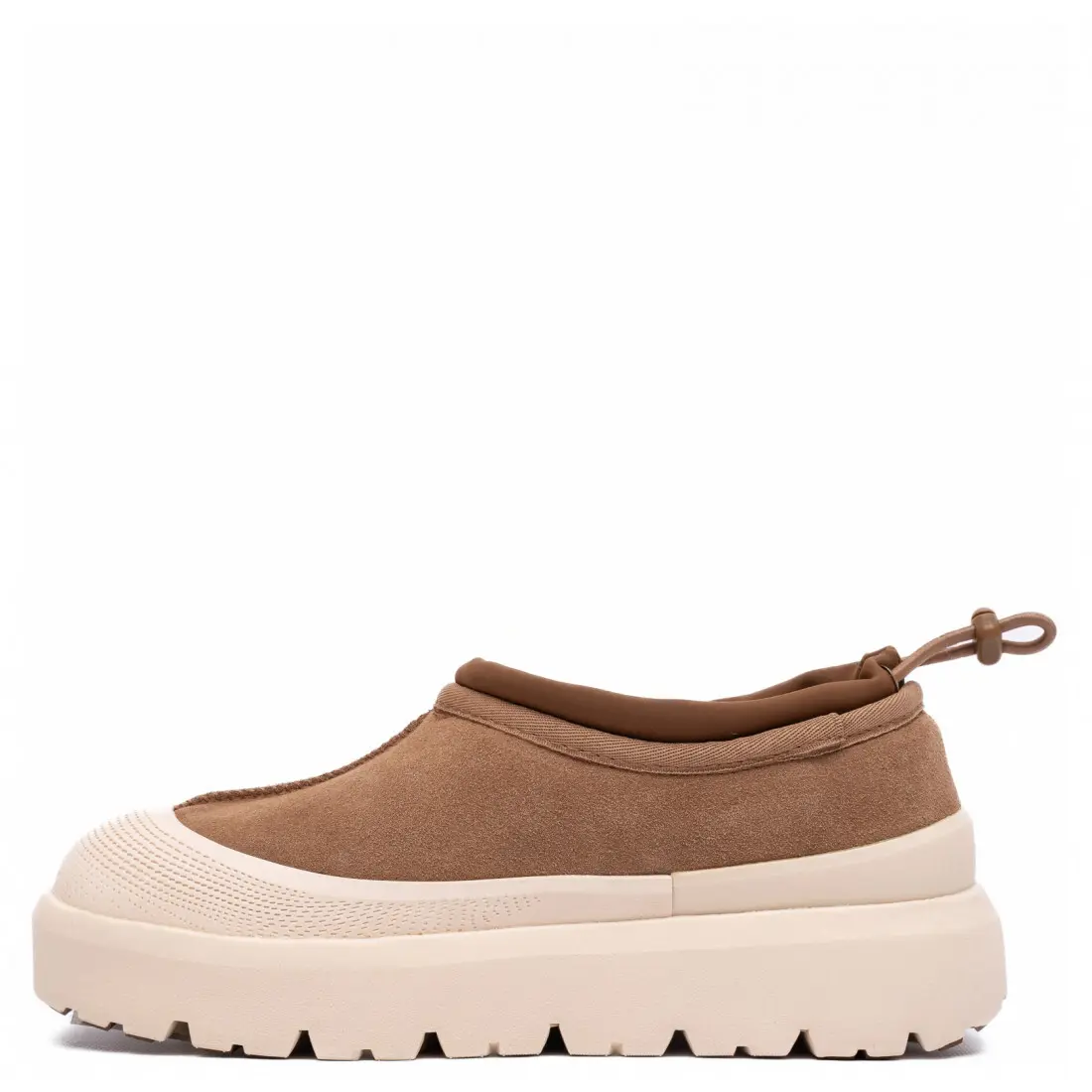 Tasman Weather Hybrid — — Chestnut