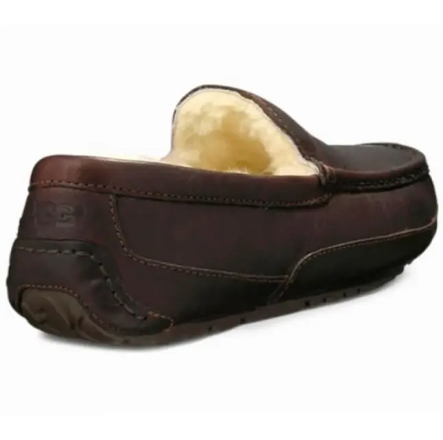 Ascot — Brown